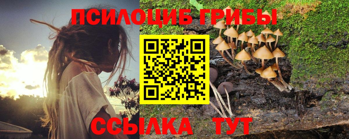 Галлюциногенные грибы мицелий Краснознаменск