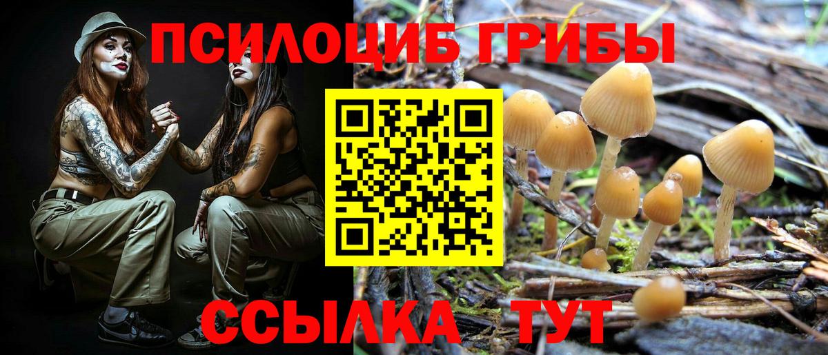 Псилоцибиновые грибы Psilocybe  Вход с VPN  Краснознаменск  Псилоцибиновые грибы Psilocybine cubensis 